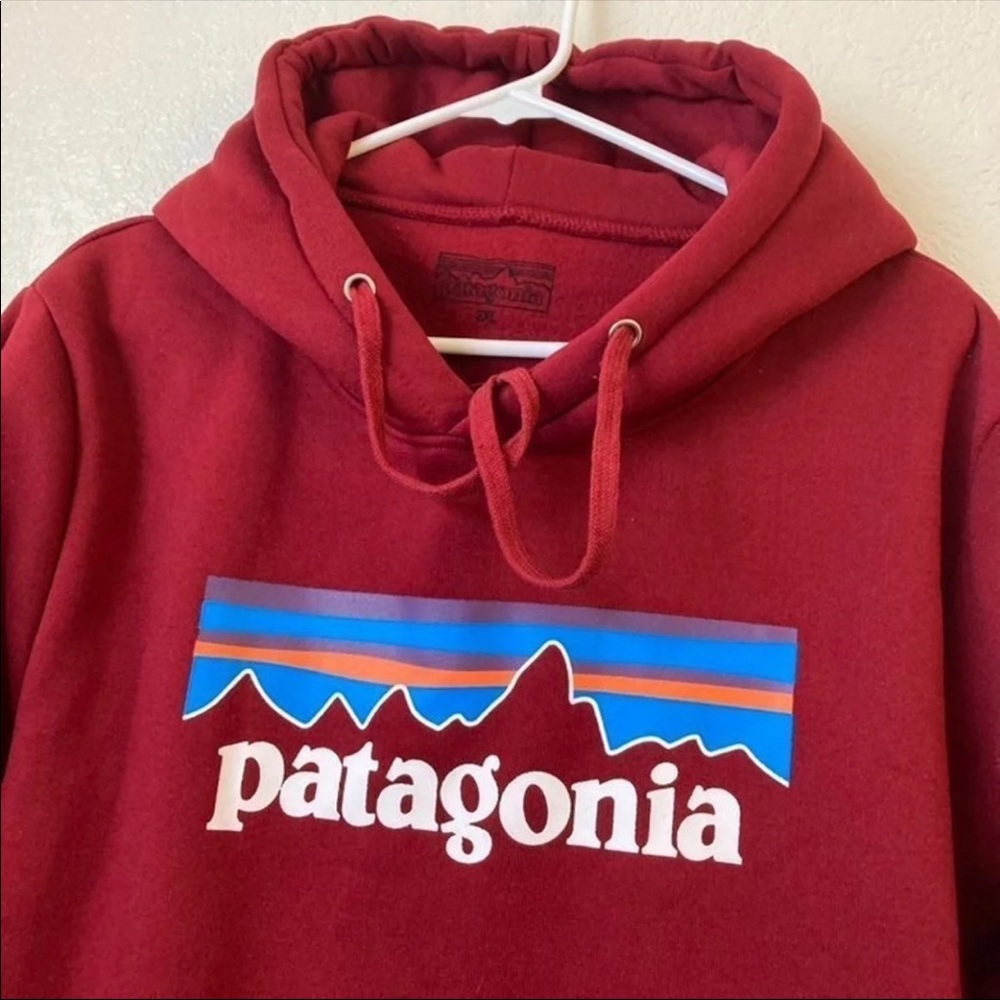 Patagonia sweatshirt